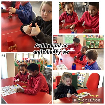 students learning about animals of the zoo