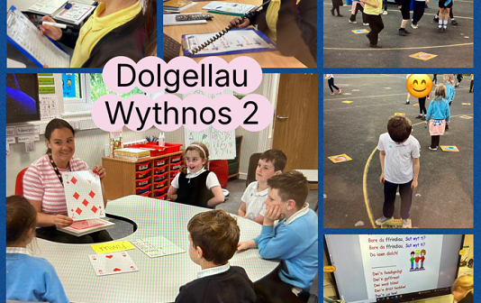 Collection of images of pupils in Ysgol Dolgellau