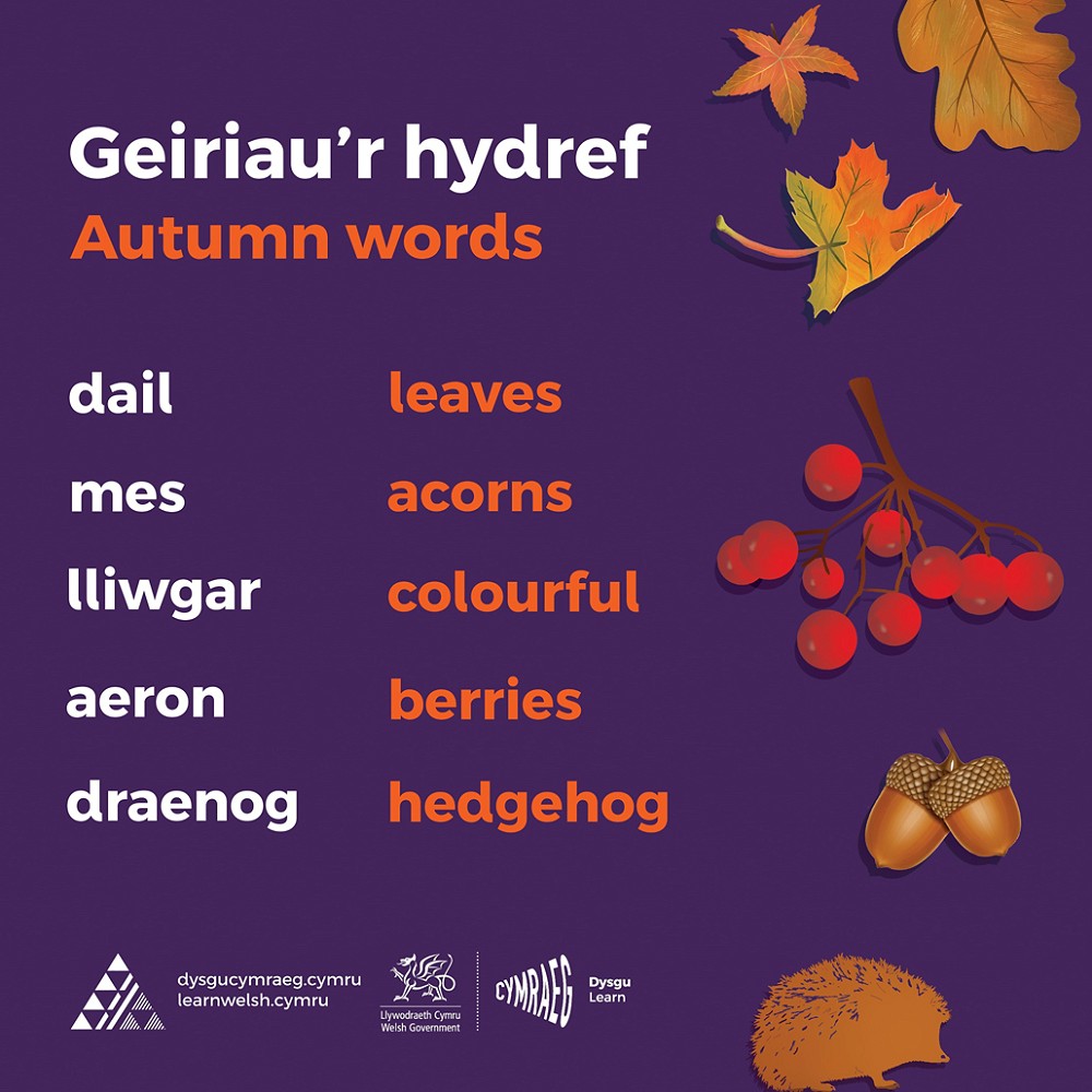poster Geirfa'r Hydref