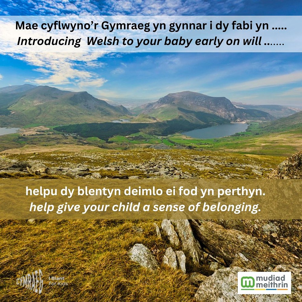 Introducing Welsh to your baby early on poster