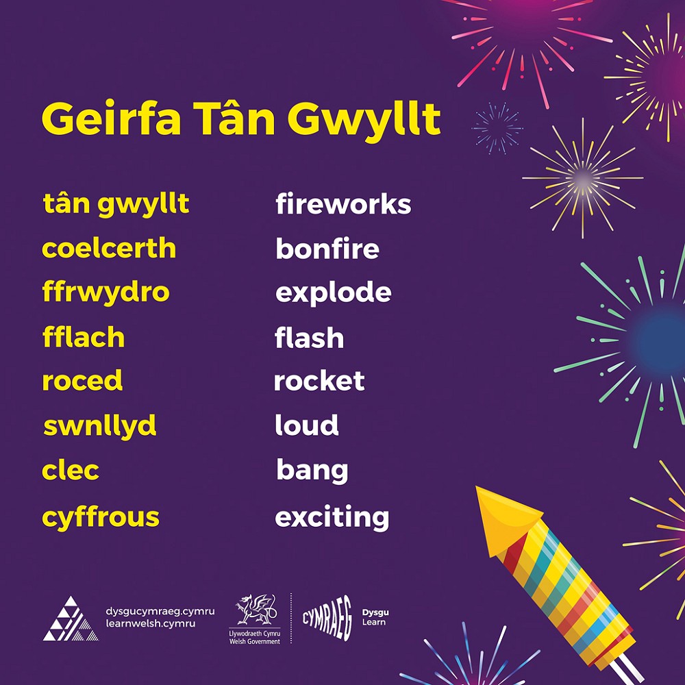 poster Noson Tân Gwyllt