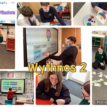 lluniau gweithgareddau wythnos 2