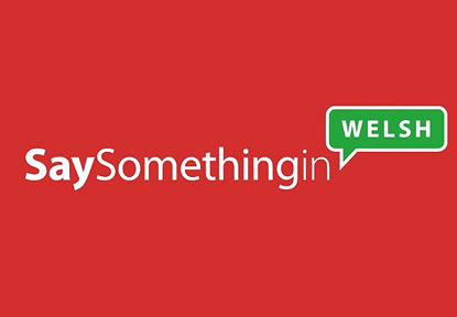 SaySomethingin logo