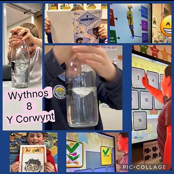 collage of images of activities