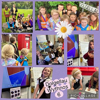 collage of images of outdoor activites